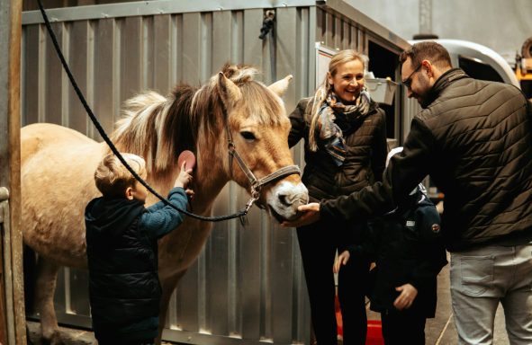 Reittherapie Ivenack Zwei Erwachsene und ein Kind stehen an einem angebundenen Pferd und putzen und streicheln es. Sie unterhalten sich fröhlich dabei.
