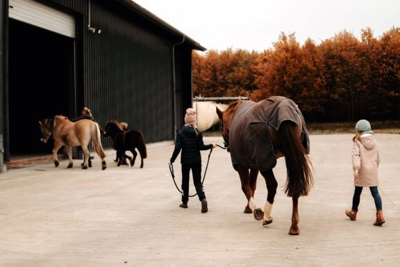 Reittherapie Ivenack Ein Kind führt ein Pferd in eine Hall, davor gehen zwei weitere Pferde.