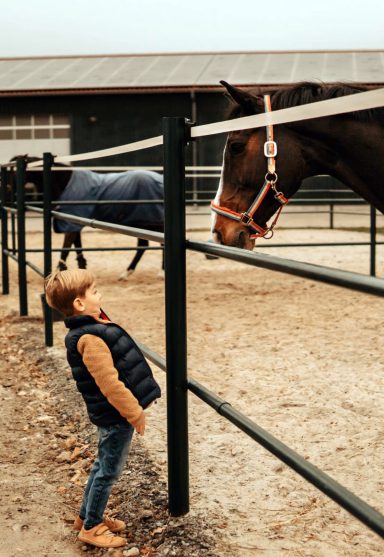 Reittherapie Ivenack Ein Junge steht staunend vor einem Paddock mit einem großen Pferd darin.