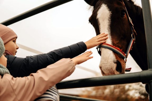 Reittherapie Ivenack Zwei Kinderhände streicheln ein Pferdekopf.
