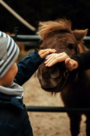 Reittherapie Ivenack Zwei Kinder streicheln den Kopf eines Ponys.
