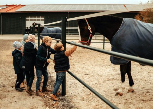 Reittherapie Ivenack Vier Kinder stehen vor einem Paddock und streicheln ein Pferd.