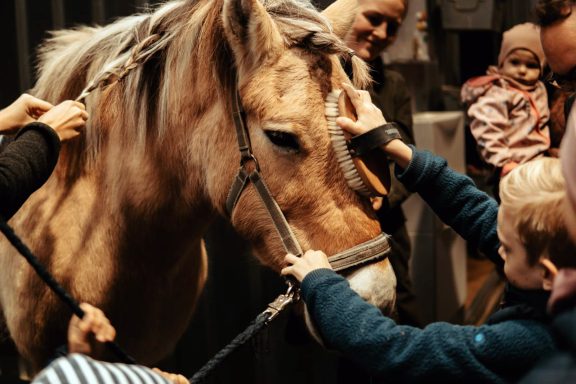 Reittherapie Ivenack Ein Pferdekopf wird geputzt. Kinderhände sind zu sehen.
