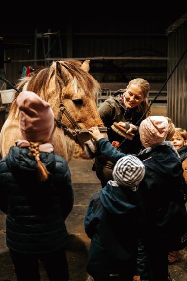 Reittherapie Ivenack Vier Kinder und eine Therapeutin stehen an einem Pferd und putzen es.
